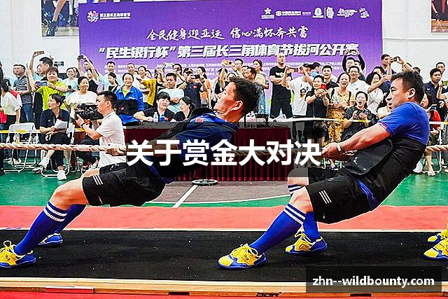 关于赏金大对决